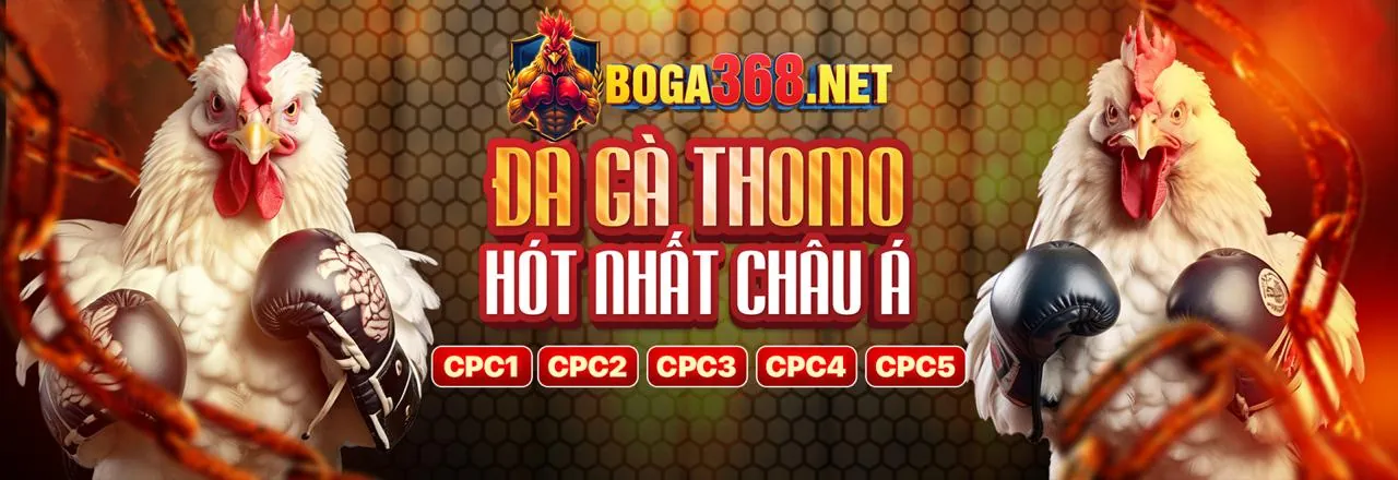 Hình ảnh đá gà kịch tính tại 78be cổng game chính thức